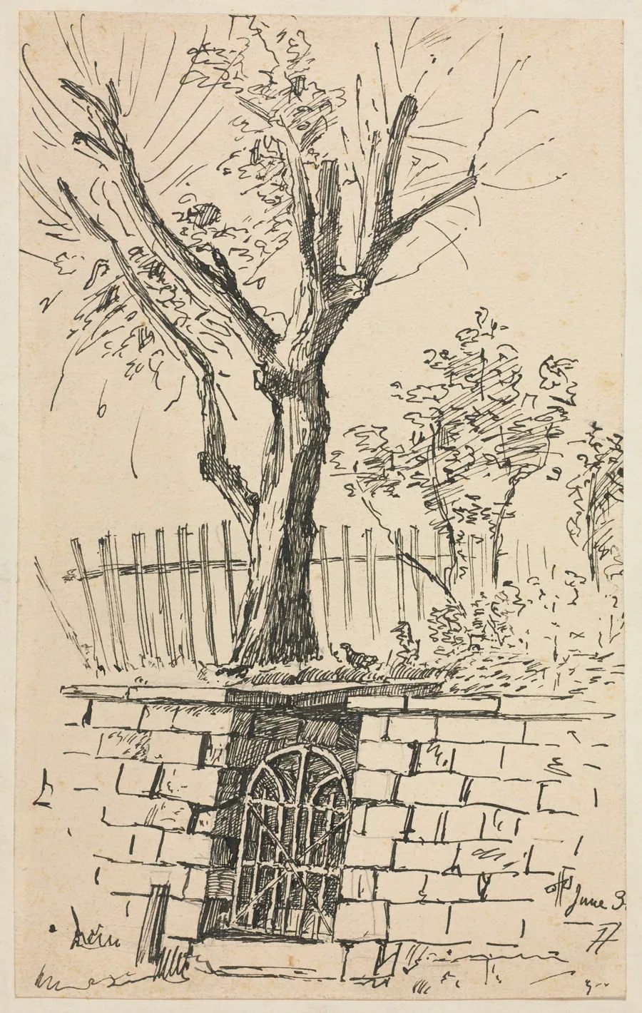 Tree on Top of a Stone Wall, Cleveland by Otto H. Bacher
