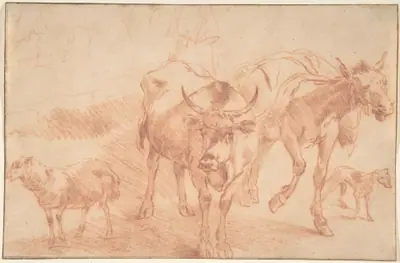 Animal Studies