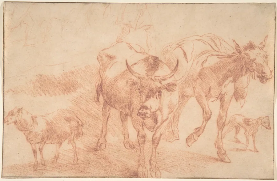 Animal Studies by Nicolaes Berchem