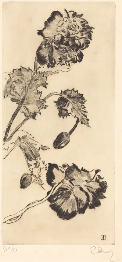 Flowers (Fleurs)