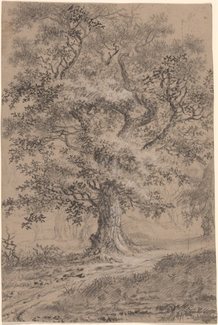 A Leafy Oak by a Woodland Path by Johann Caspar Huber