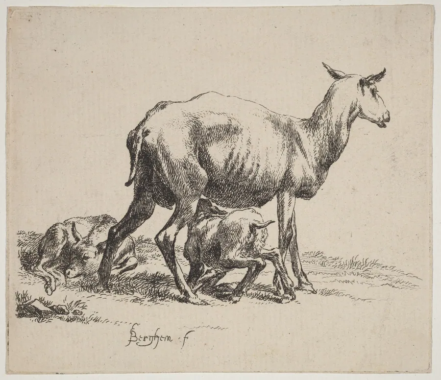 Ewe Nursing Her Lamb by Nicolaes Pietersz Berchem