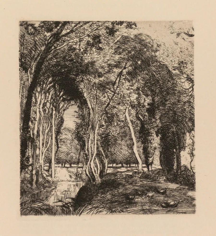 Auguste Lepère: Sous bois, à la Rigonette (Vendèe) by Auguste Louis Lepère