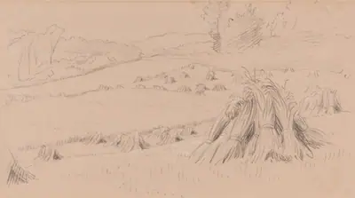 The Harvest Field