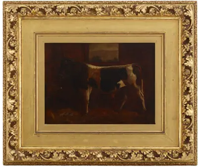A Prize Bull