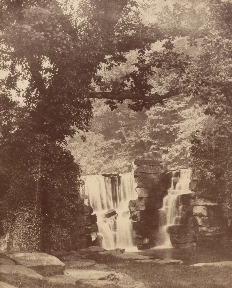 The Upper Falls, Penllergare Valley Woods by John Dillwyn Llewelyn
