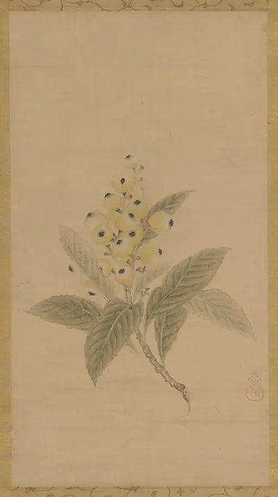 A branch of medlars