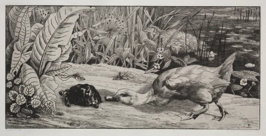 An Unknown by Félix Bracquemond