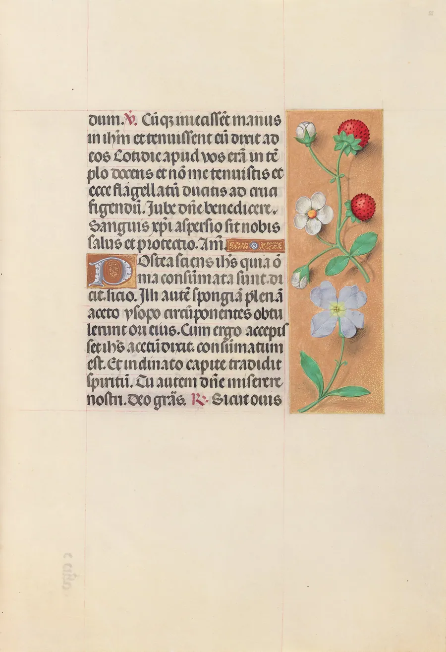 Hours of Queen Isabella the Catholic, Queen of Spain:  Fol. 55r by Master of the First Prayerbook of Maximillian
