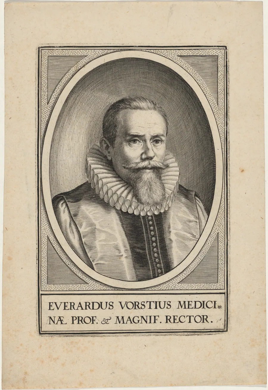 Everardus Vorstius Medicinae by Unknown 19th Century