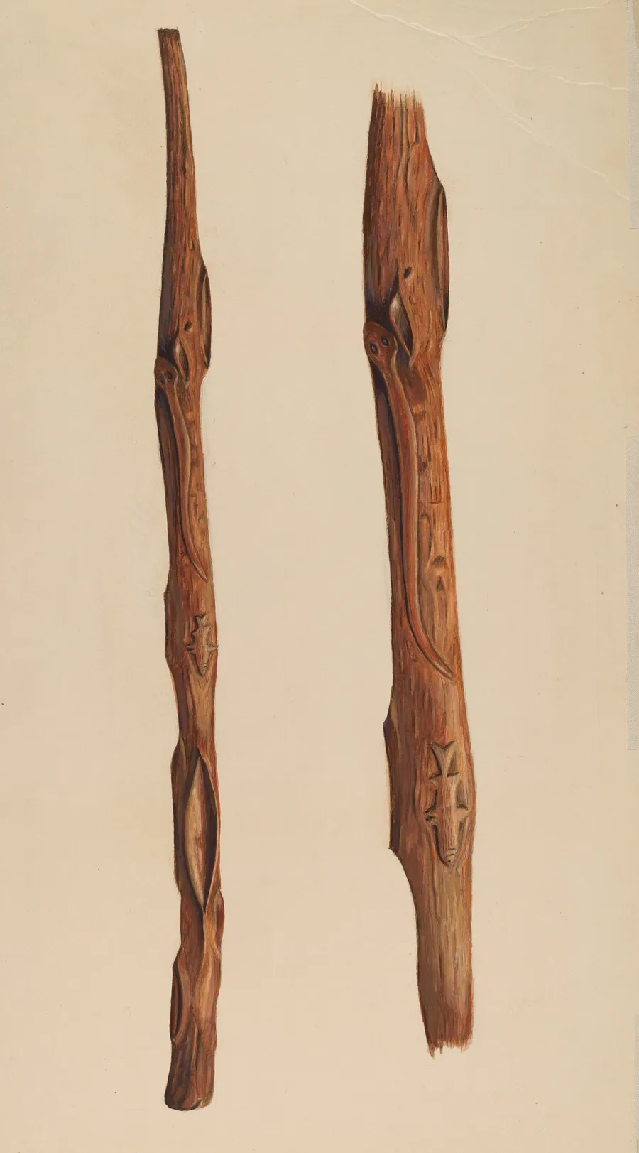 Walking Stick by Frank Gray
