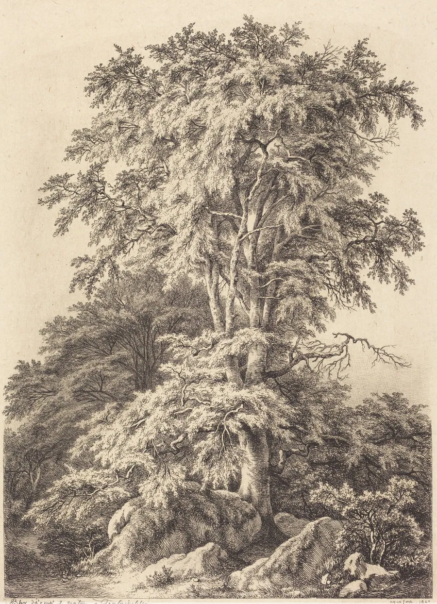 Beech Grove by Eugène Bléry