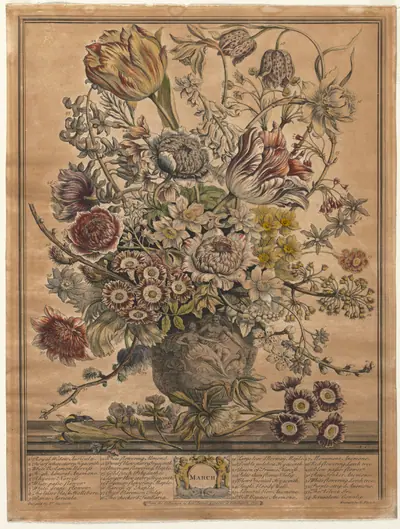 Twelve Months of Flowers: March