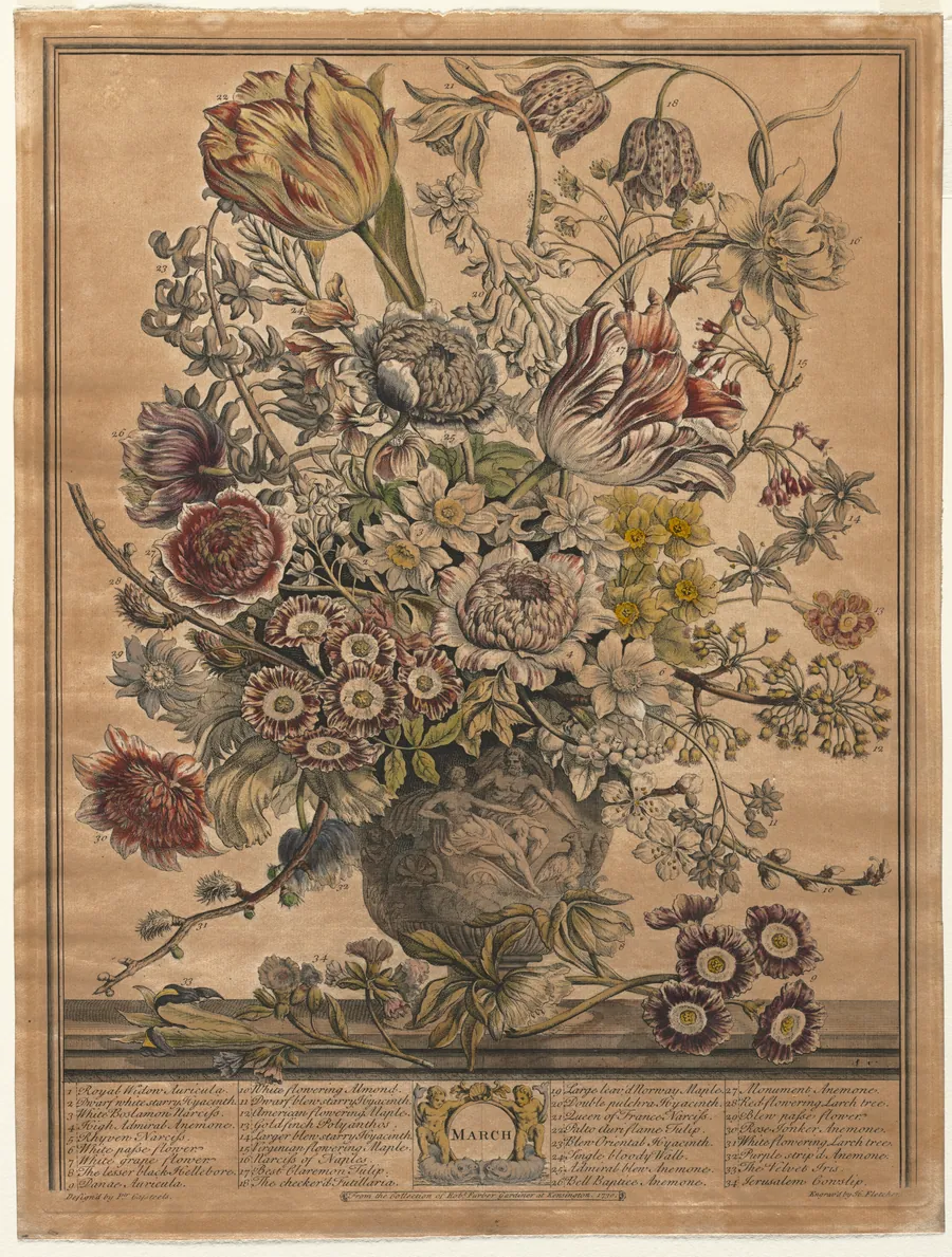 Twelve Months of Flowers:  March by Henry Fletcher