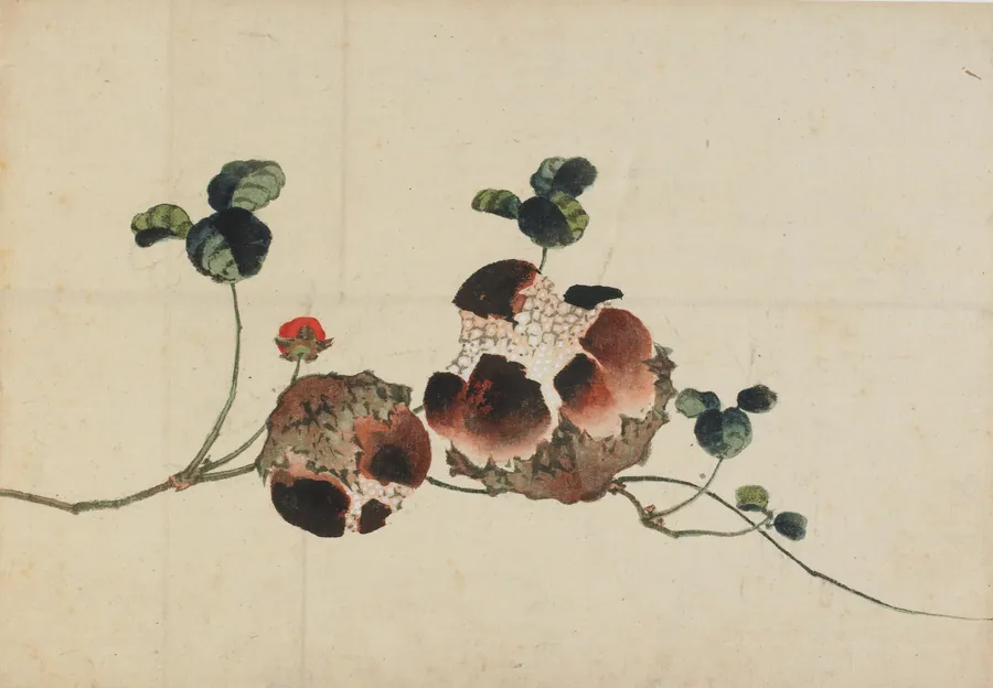 Pomegranates by Katsushika Hokusai 葛飾北斎 (1760-1849)