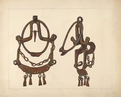 Bridle Bit