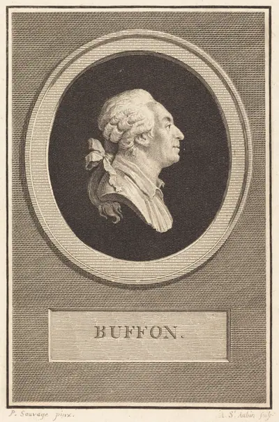 Buffon