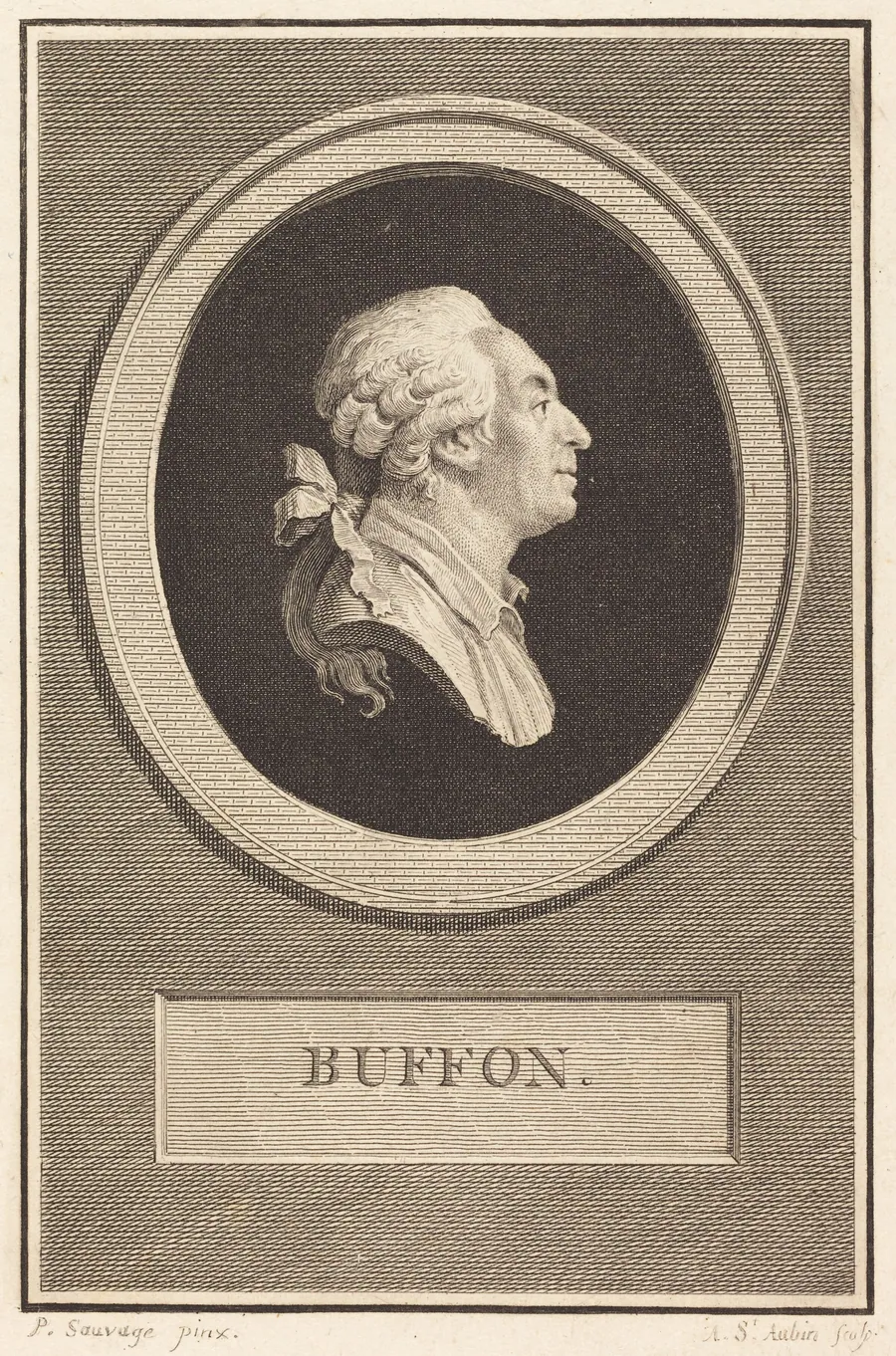 Buffon by Augustin de Saint-Aubin