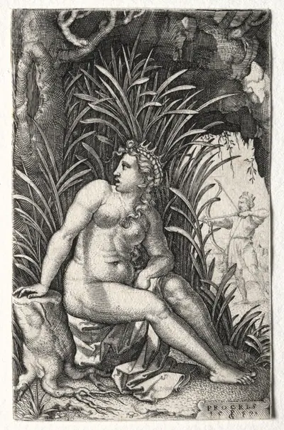 Procris
