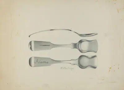 Silver Salt Spoon