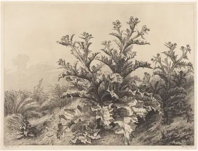 Large Thistle