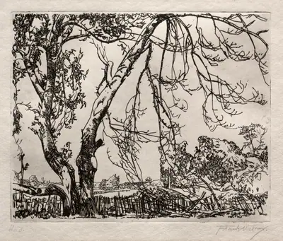 Apple Tree