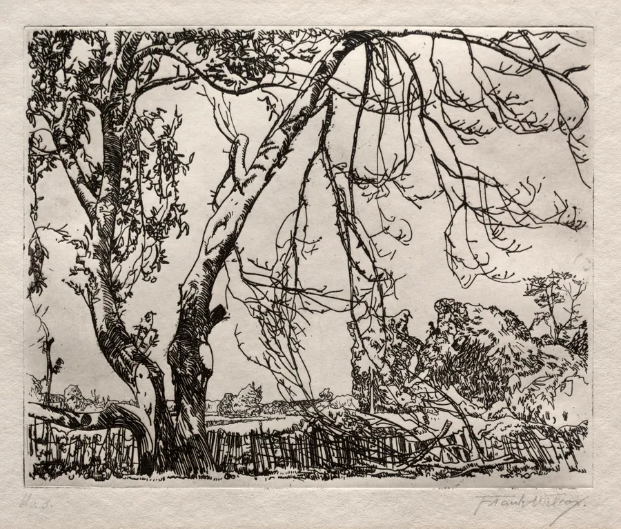 Apple Tree by Frank Wilcox