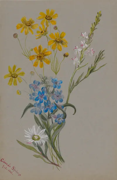 (Untitled, Group of Flowers)