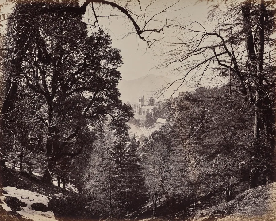 Shimla. The Church Through the Trees, from Jakko by Samuel Bourne