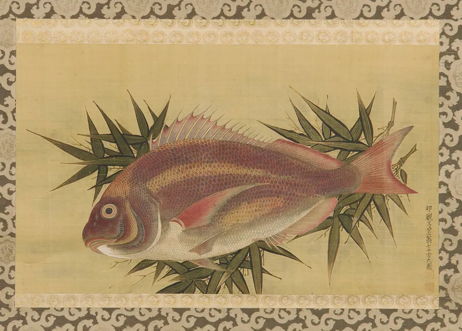 Red Sea Bream (<em>Tai</em>) on Bamboo Leaves by Ogawa Ritsuo (1663-1747)