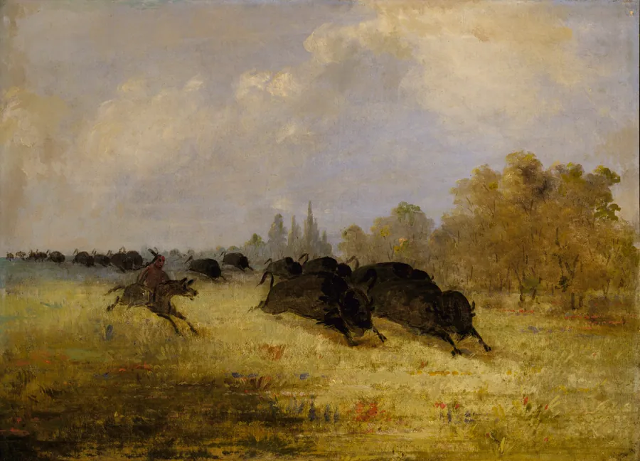 Caddo Indians Chasing Buffalo, Cross Timbers, Texas by George Catlin, born Wilkes-Barre, PA 1796-died Jersey City, NJ 1872