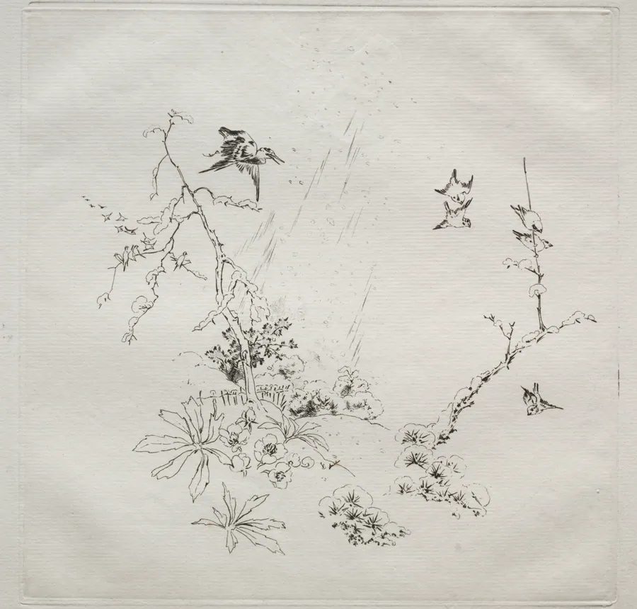 Parisian Service (Haviland service): Snow (no. 6) by Félix Bracquemond