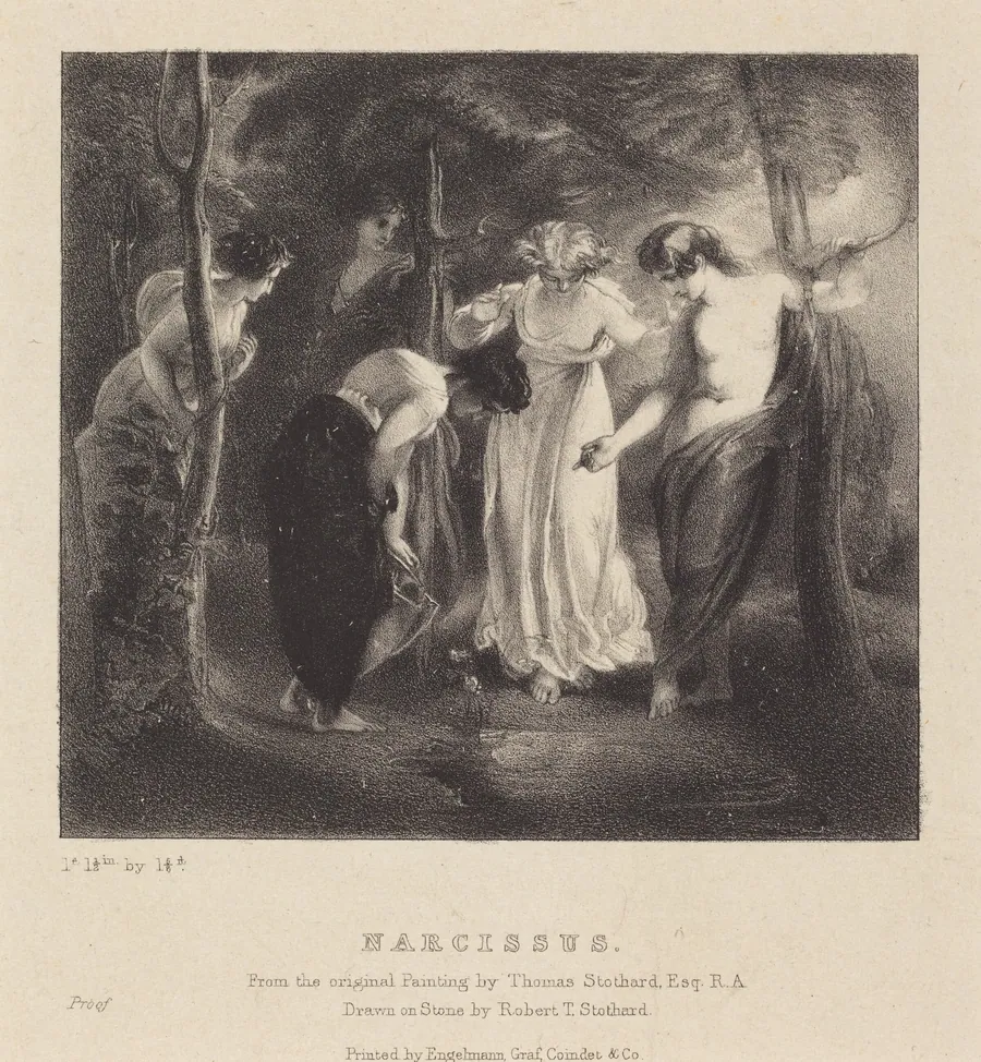 Narcissus by Robert T. Stothard
