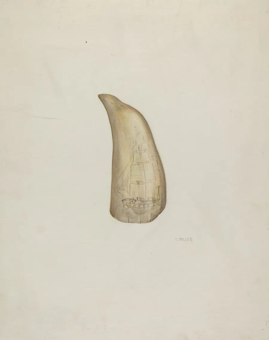 Scrimshaw by Edith Miller