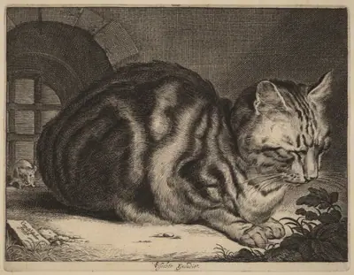 The Large Cat