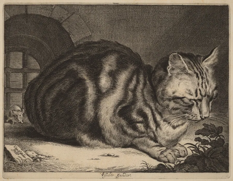 The Large Cat by Cornelis Visscher