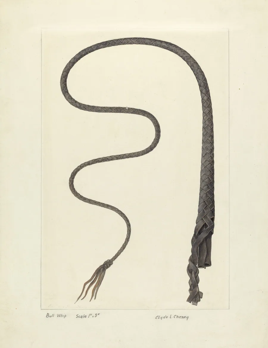 Bull Whip by Clyde L. Cheney
