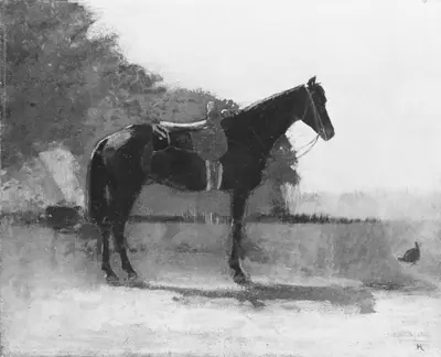 Saddle Horse in Farm Yard