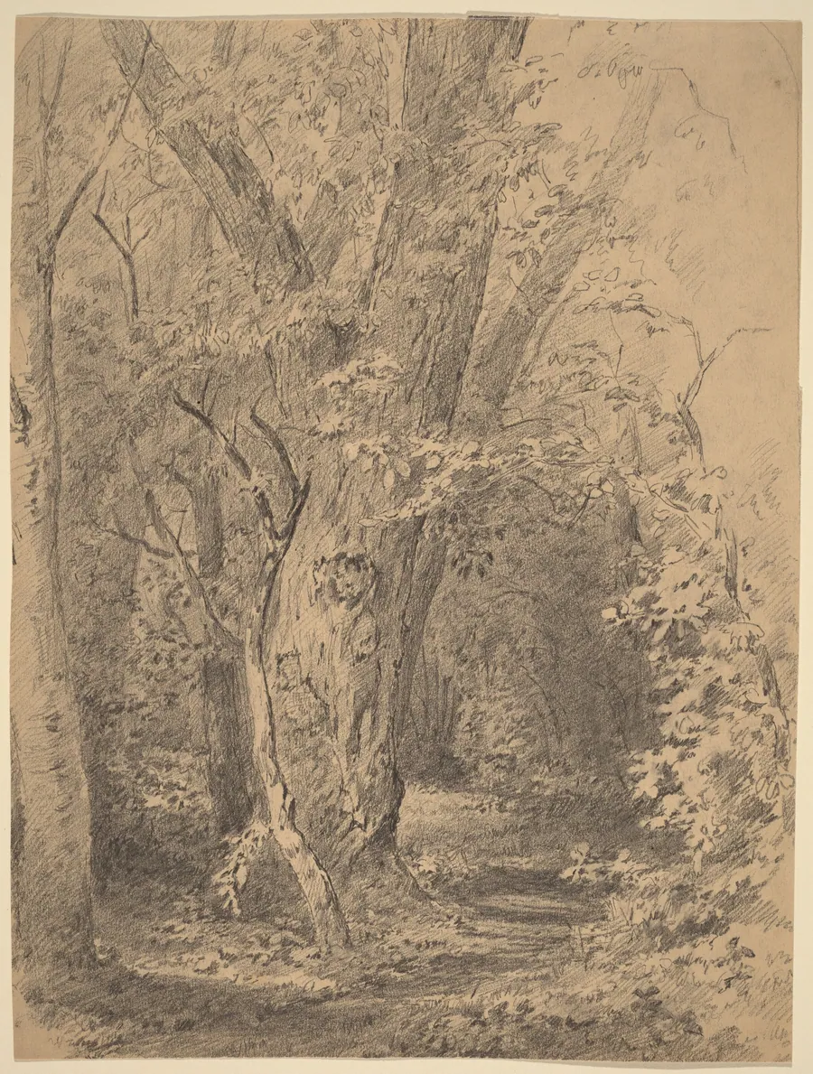 Tree and Foliage by Walter Shirlaw
