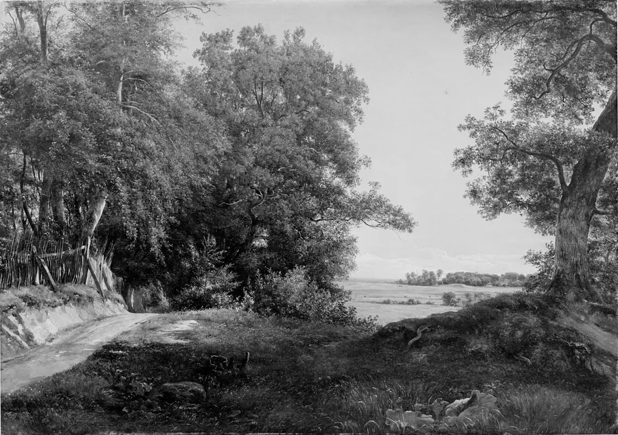 En sommermorgen ved Dyrehavehegnet i Ordrup Krat by Thorald Brendstrup
