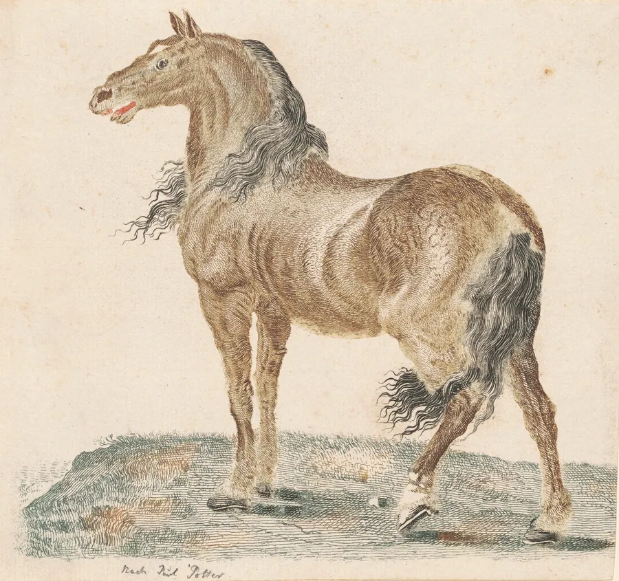 The Neighing Horse by Johann Teyler