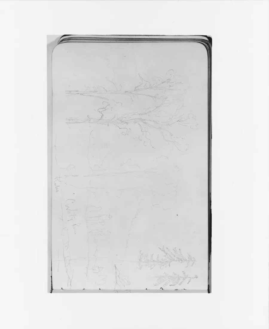 Cowlitz River; Kelso, Washington (from Sketchbook) by Albert Bierstadt
