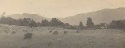 Landscape with trees and mountains