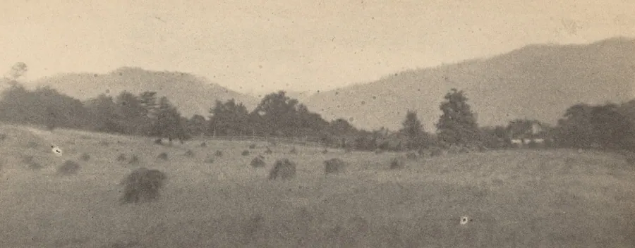 Landscape with trees and mountains by Joseph T. Keiley