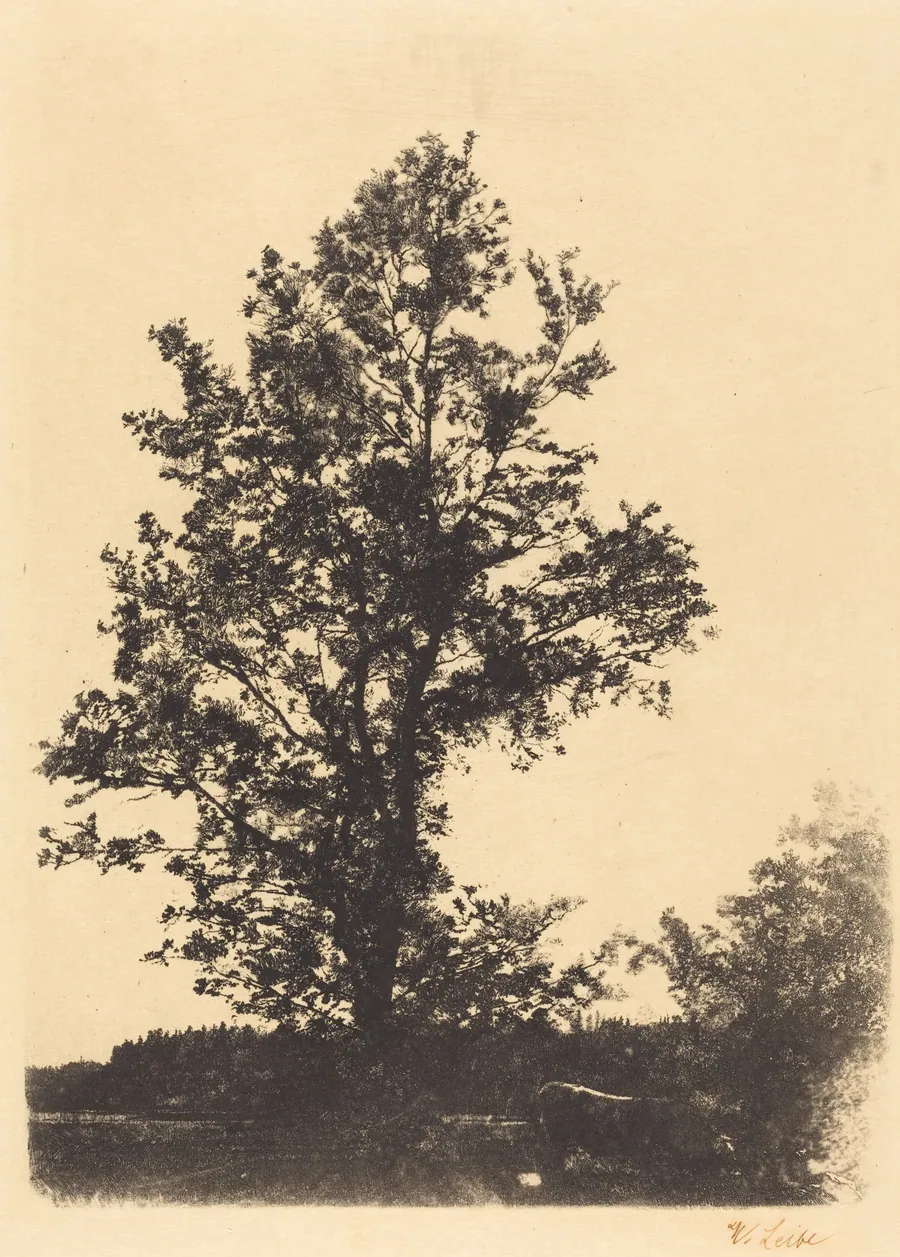 The Large Tree by Wilhelm Leibl