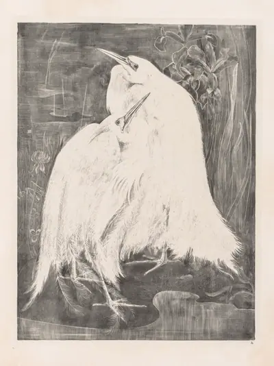 Animal Studies: Two Silver Herons