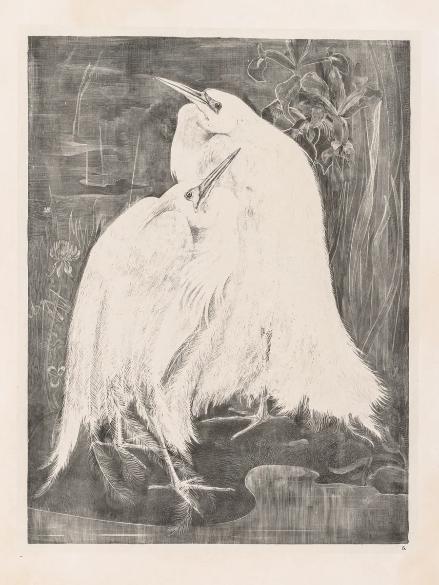 Animal Studies: Two Silver Herons by Theo van Hoytema