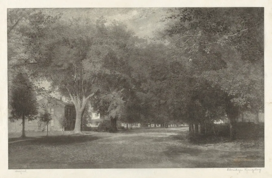New England Elms by Elbridge Kingsley