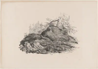 Hilly Forest View with a Fern