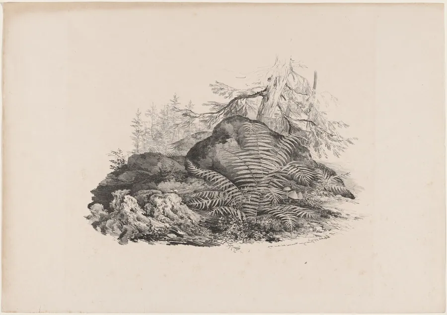 Hilly Forest View with a Fern by Carl August Lebschée